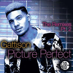 Picture Perfect (The Remixes, Pt. 2)