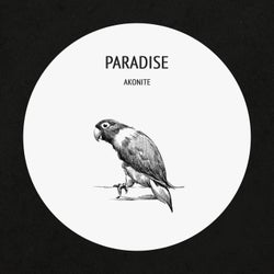 Paradise (Original Mix)