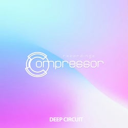 Deep Circuit