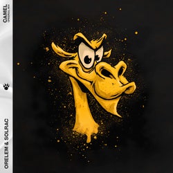 Camel