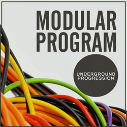 Modular Program: Underground Progression