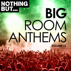Nothing But... Big Room Anthems, Vol. 12