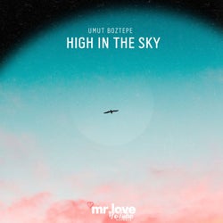 High in the Sky