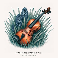 Take This Waltz - Live