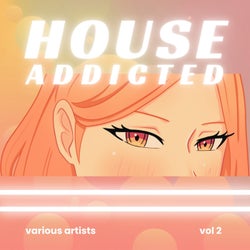 House Addicted, Vol. 2