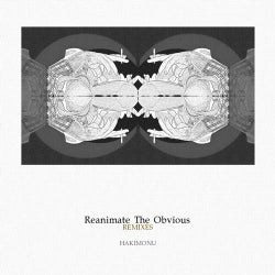 Reanimate The Obvious Remixes