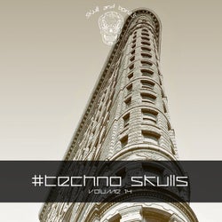 Techno Skulls, Vol. 14