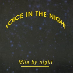 Voice In The Night