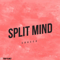Split Mind