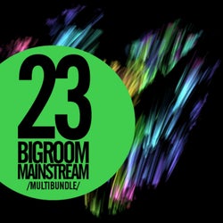 23 Bigroom Mainstream Multibundle