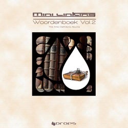 Woordenboek Volume 2 (The Artist Definitions Album)