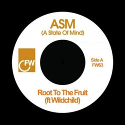 Root to the Fruit (feat. Wildchild)