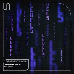 Level 5