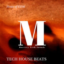 House Of EDM - Tech House Beats