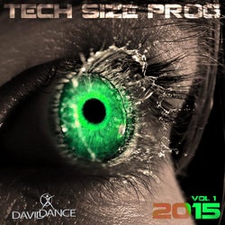 Tech Size Prog 2015 Vol. 1