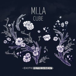 Cover art for Cube
