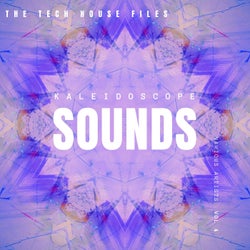 Kaleidoscope Sounds, Vol. 4 (The Tech House Files)