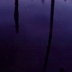 Ambient Selections (Reworked)
