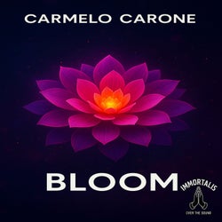 Bloom