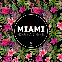 Miami House Anthems Vol. 28