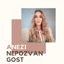 Nepozvan gost