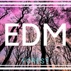 EDM FOREST