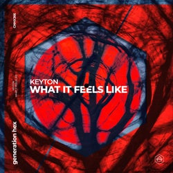 What It Feels Like - Extended Mix