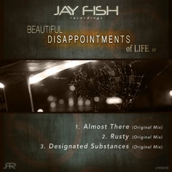 Beautiful Disappointments of Life