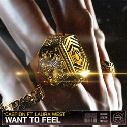 Want To Feel - Extended Mix