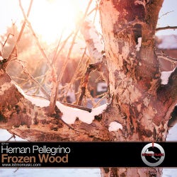 Frozen Wood