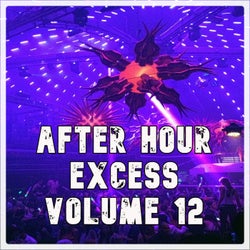 After Hour Excess, Vol.12 (BEST SELECTION OF CLUBBING AFTER HOUR TRACKS)