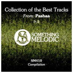 Collection of the Best Tracks From: Pashaa, Pt. 5
