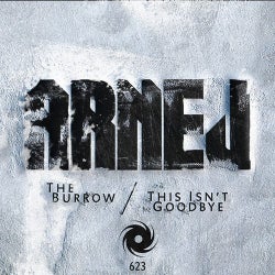 The Burrow / This Isnt Goodbye
