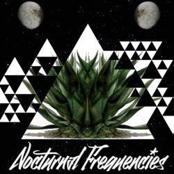 Nocturnal Frequencies No 1