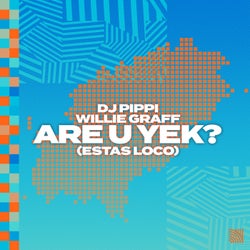 Are U Yek? (Estas Loco) (Extended Mix)