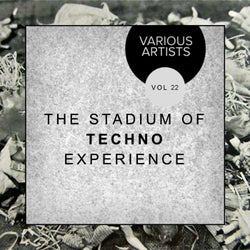 The Stadium Of Techno Experience, Vol. 22