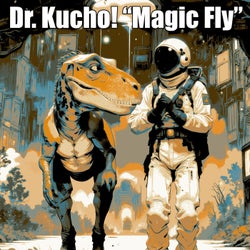 Magic Fly