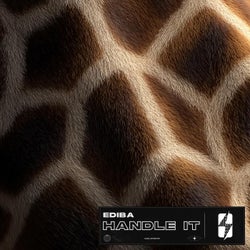 Handle It