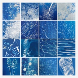 Cobalt Melancholy