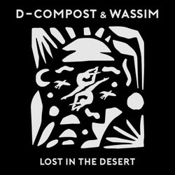 Lost in the Desert
