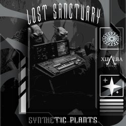 Lost Sanctuary