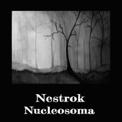 Nucleosoma