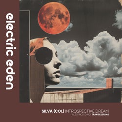 Introspective Dream