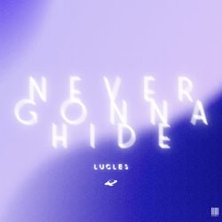 Never Gonna Hide (Extended Mix)