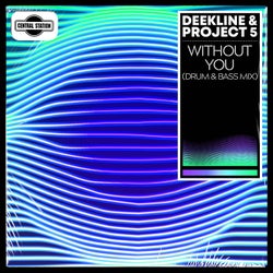 Without You (Drum & Bass Mix)