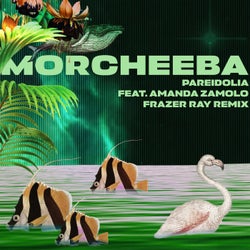 Pareidolia (Frazer Ray Remix)