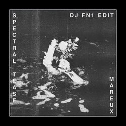 Spectral Tease (Dj Fn1 Edit)