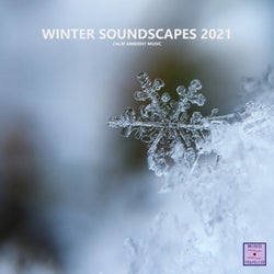 Winter Soundscapes 2021 (Calm Ambient Music)