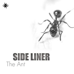 The Ant