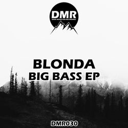 Big Bass EP